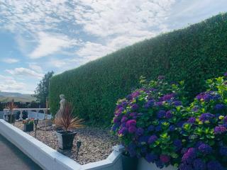 Ivy Lane - Loughanure - 2