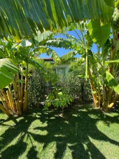 Breath Academia Guest House - Urla - 5