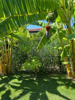 Breath Academia Guest House - Urla - 4