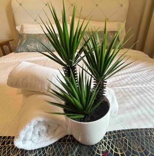 Riverbank suites waterfront - Kuching - 1