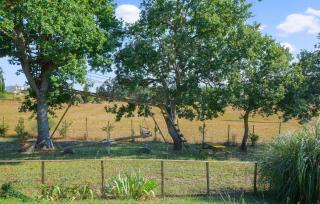 Lovely Apartment In Magliano In Toscana - Magliano in Toscana - 4