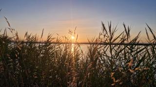 Sable & Pampas - Meublé de Tourisme 5 étoiles - Carnon-Plage - 9