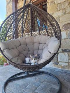 Το Κονάτζι - 4