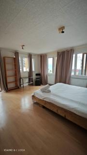 Mountain studio HN - 6