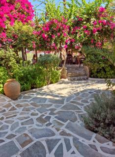 Vagia Traditional, Aegina Island - Vagia - 6