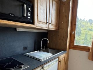 Studio fonctionnel accès pistes, balcon, animaux admis - FR-1-181-2273 - La Plagne Tarentaise - 7