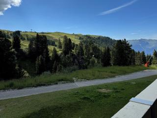 Studio fonctionnel accès pistes, balcon, animaux admis - FR-1-181-2273 - La Plagne Tarentaise - 5
