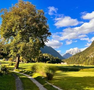 Apartma Stenar - Mojstrana - 5