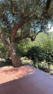 Home & Garden - Valona - 7