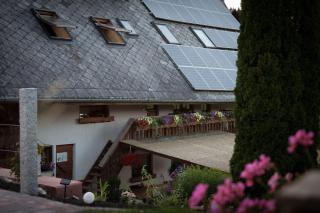 Ferienhof-Gerda-Ferienwohnung-Sternenhimmel - Oberkirnach - 5