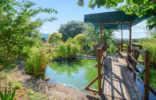 Nice Apartment In Magliano In Toscana - Magliano in Toscana - 5
