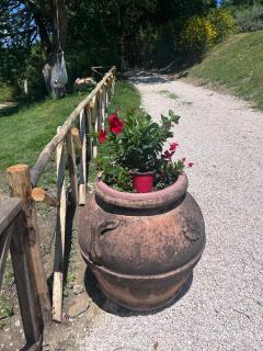 Agriturismo Le Macchie - Monticchiello - 8