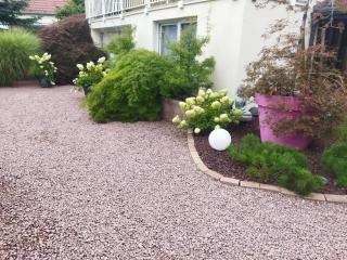 Les Hortensias - 2