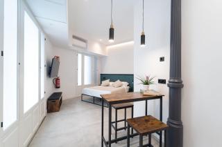 Soho Loft estilo industrial céntrico - 6