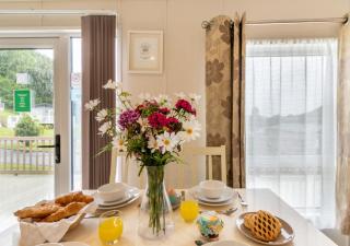 Oak Lodge - New Quay - Llanina - 3