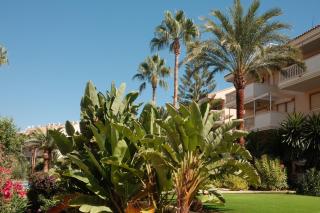 Apartamento en playa de El Arenal, Jávea - Jávea - 4