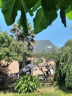 La Maison Rose - avec grand jardin clos à 300m de la mer - Hauteville-sur-Mer - 7
