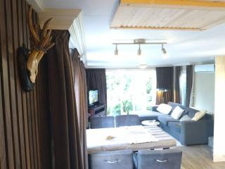 Chalet op de veluwe - Putten - 2