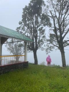 Thottom Stays Private Bungalow - Munnar - 1