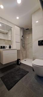 Ljubljana Nest- centre, free parking- renovated August 2024 - 4