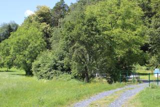 Idyllisches Haus mit Garten und Saunahütte in der Natur - - 8