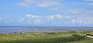 Haus-Horizont-28 - 2