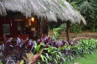 Bonita casa con piscina en amazonia - Cotundo - 1