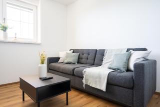 Kikis Sunshine Apartment - Wölfnitz - 6