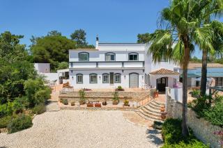 The Lemon Tree Villa - Moncarapacho - 3