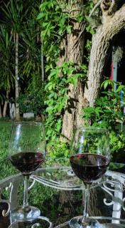 Quinta da Pedra do Elefante - 6