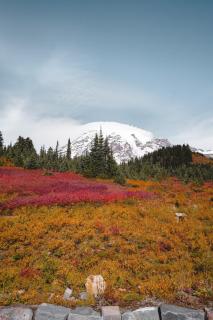 Tilted Timbers Cabin - Hot Tub - wifi - 7