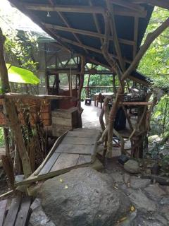 Casa del musgo y helecho - Minca - 7