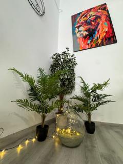 Dream Loft Sc - Santa Cruz de Tenerife - 9
