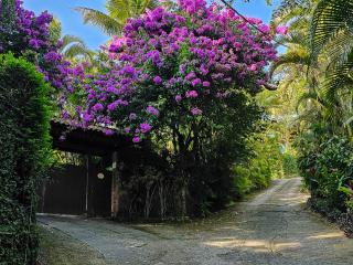 CABANAS DO SINO, em Vargem Grande RJ, onde Amor, Requinte e Natureza convivem - 7