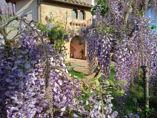 B&B Il Poggetto - Montespertoli - 8