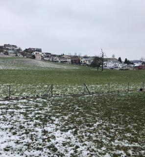 Ferienwohnung zum Säntis - 2