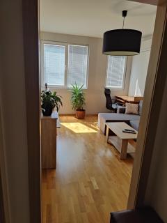 Apartman Aleksic - 7