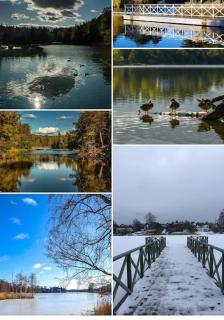 Studio close to city, Sthlm fair, free parking - Huddinge - 5
