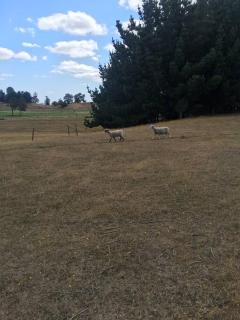 Lindo departamento 3D2B con espectacular vista al lago, con capacidad hasta 7 personas - 3