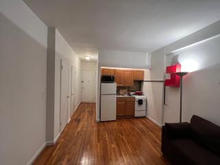 great studio apt new york city - 1