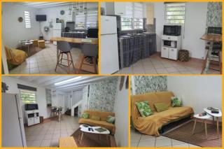 Tropical Jungle - Le Gosier - 9