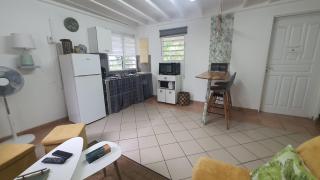 Duplex Tropical Jungle - 4