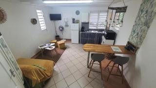 Duplex Tropical Jungle - 8