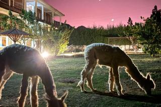 Runaway Eco Hotel - Carhuaz - 4