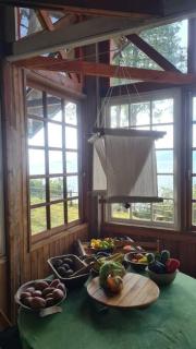 House on Calafquen lake - Panguipulli - 1