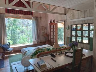 House on Calafquen lake - 0