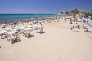 cactus22 - Alicante - 3