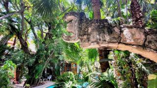 Eco-hotel El Rey del Caribe - 2