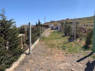 Animal Service Center - Nador - 7