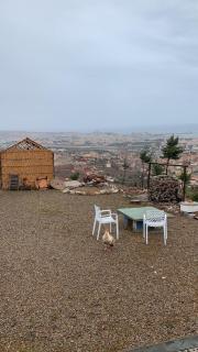 Animal Service Center - Nador - 2